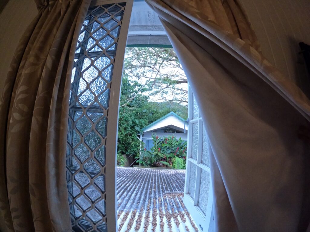 The view from the Airbnb window.