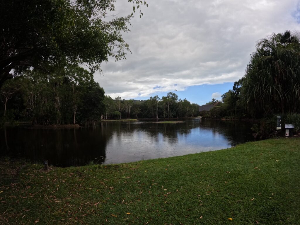 The lake in the Botanic Garden.