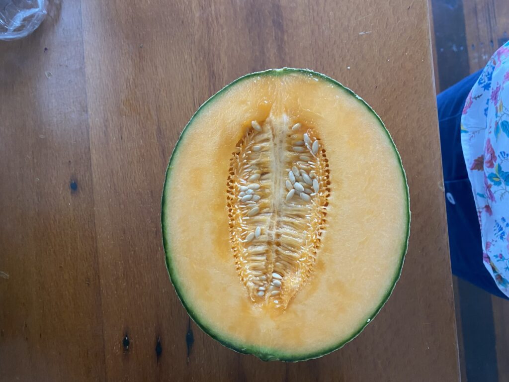 The half melon bought at that market.