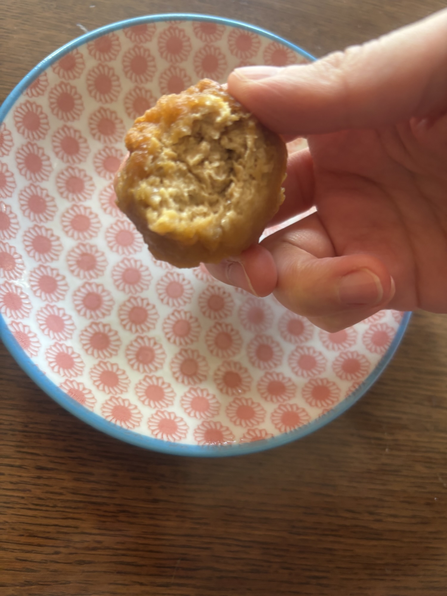 Cross-section of Hand made soy meat Karaage.
